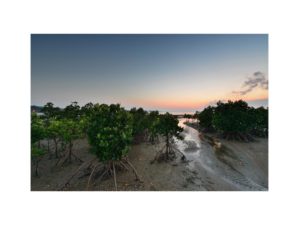 Oceanview Yui Hotell Ishigaki  Exteriör bild